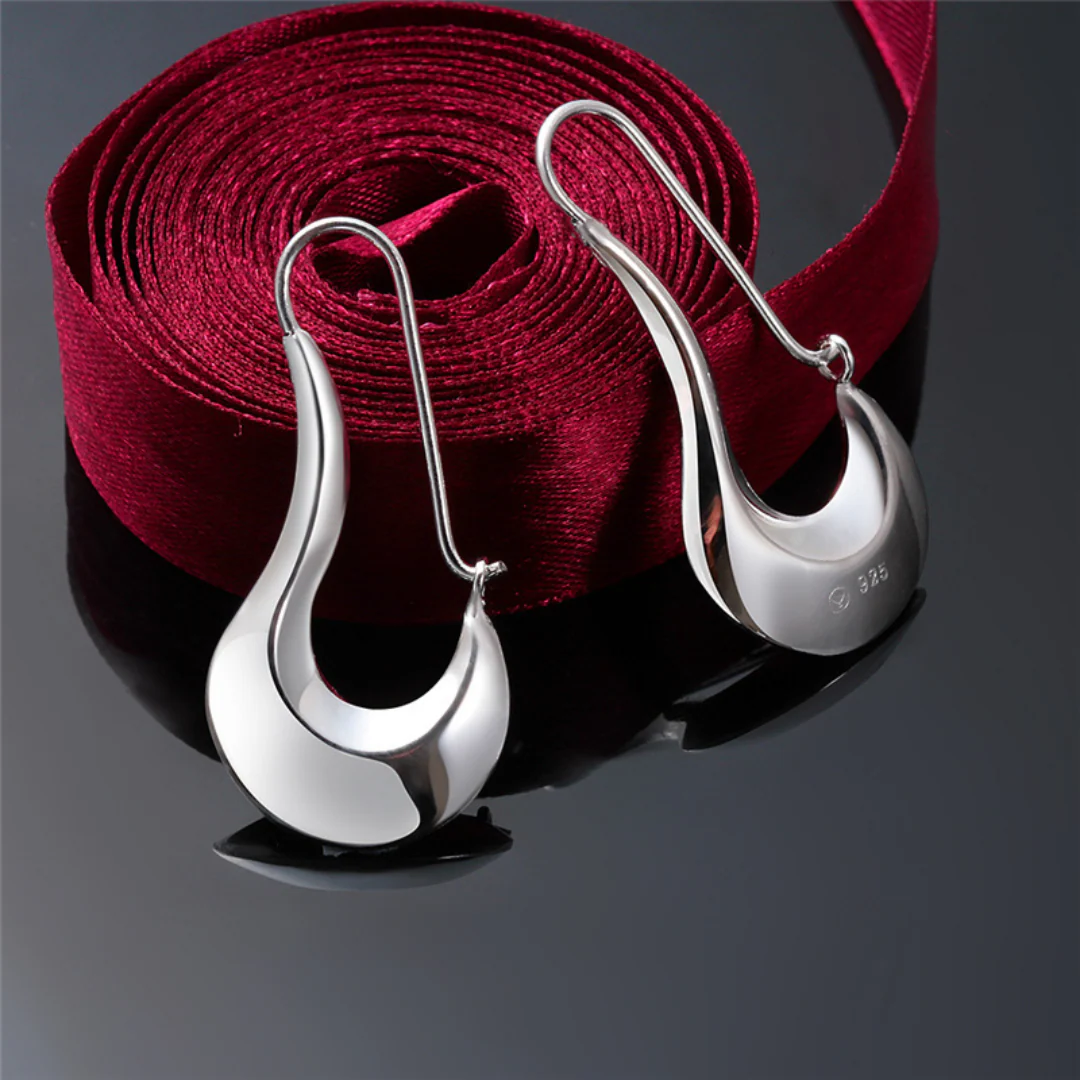 Polished 925 Silver Modernist Style Earrings